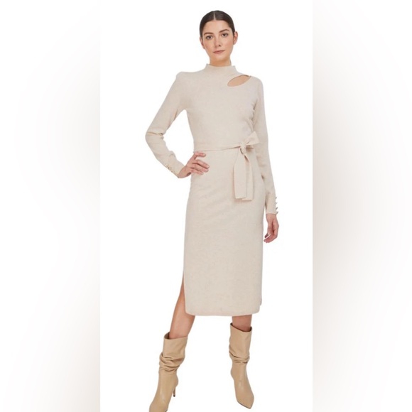 Generation Love Dresses & Skirts - NWOT Generation‎ Love Lulu Sweater Dress - XS